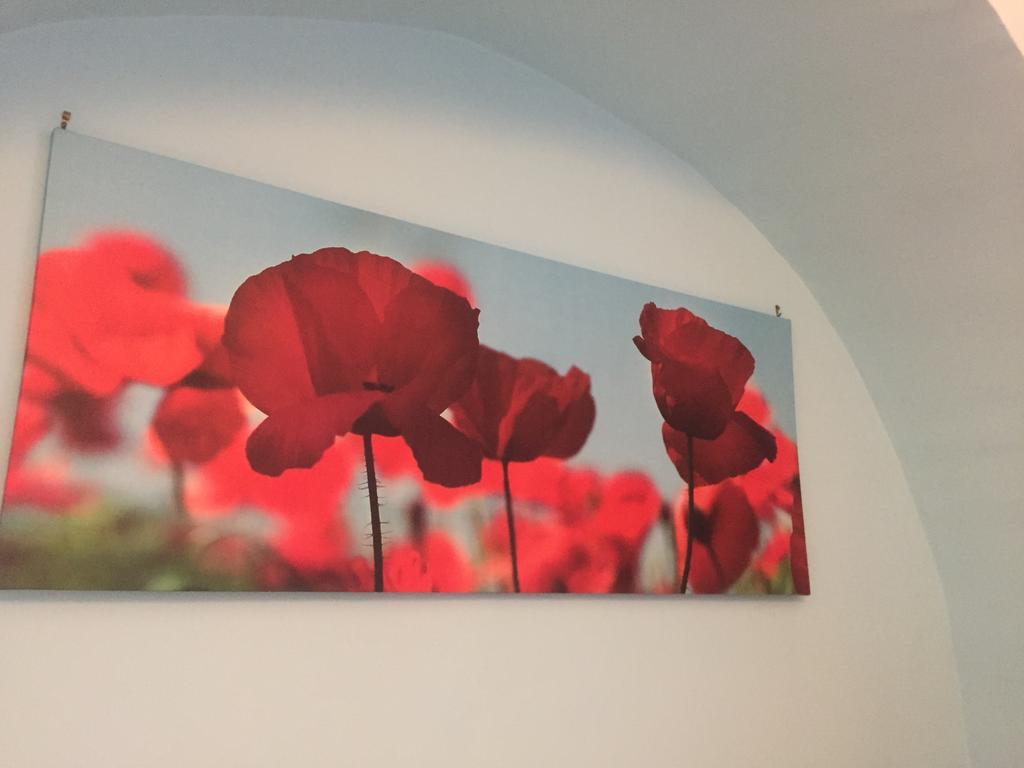 La Rosa Blu 2 Bed & Breakfast Santeramo in Colle Bagian luar foto